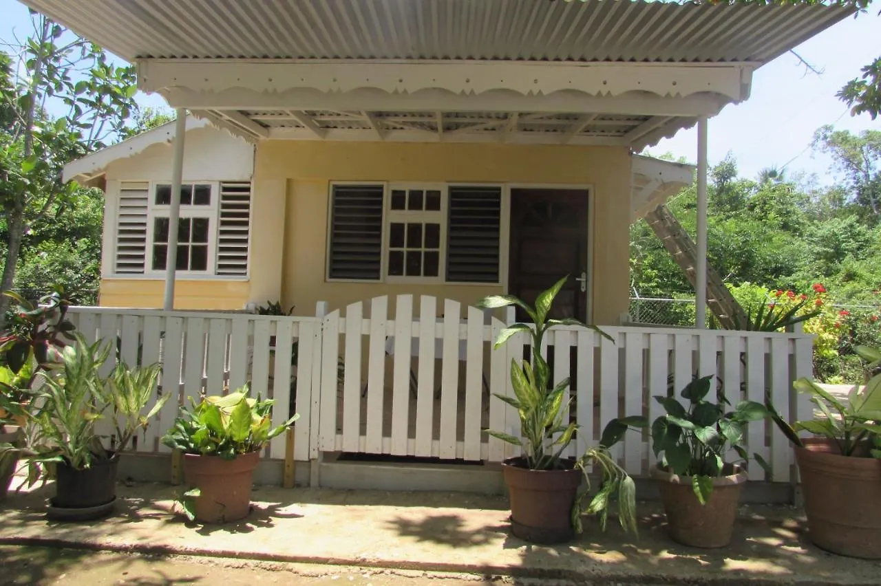 Nelsons Retreat Hotel Negril 0*,