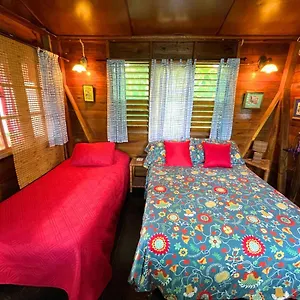 https://judy-house-cottages-and-rooms.hotelsnegriljamaica.com